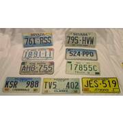 US/Canada Vehicle License Plate
