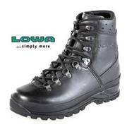 Lowa Gore-Tex Mountain Boots