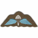 Parachute Wings Cloth Badge
