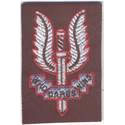 Special Air Service (SAS)