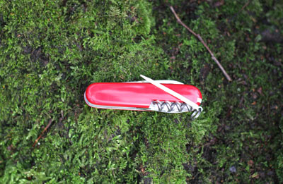 Victorinox Spartan