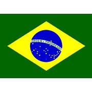 Brazil Flag