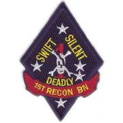 1st Recon Cloth Badge