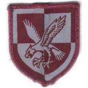 16th Air Assault Brigade