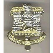 Devonshire and Dorset Regiment Cap Badge