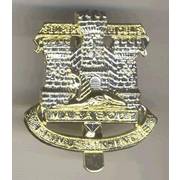Devonshire and Dorset Regiment Cap Badge