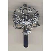 1st The Queens Dragoon Guards Cap Badge