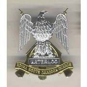 Royal Scots Dragoon Guards Cap Badge