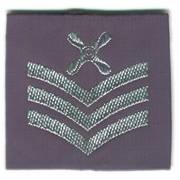 Rank Slide - RAF Chief Technician