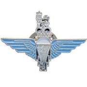 Para Lapel Badge