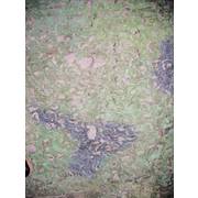 German Camo Net 6 x 3m