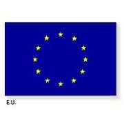 EU Flag