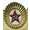 Large Soviet Laurel Badge