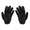 Raptor Gloves