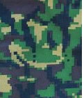 Digital DPM Camo