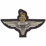 Regimental Blazer Badges