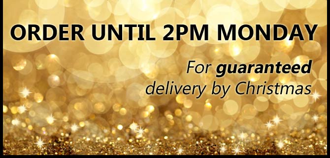 Last Delivery for Christmas