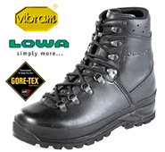 Lowa Mountain Boot