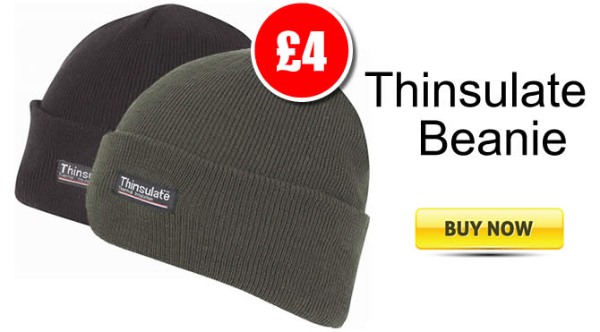 Thinsulate Beanie Hat