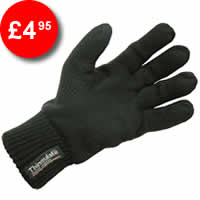 Thinsulate Gloves