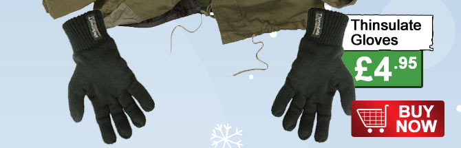 Thinsulate Gloves